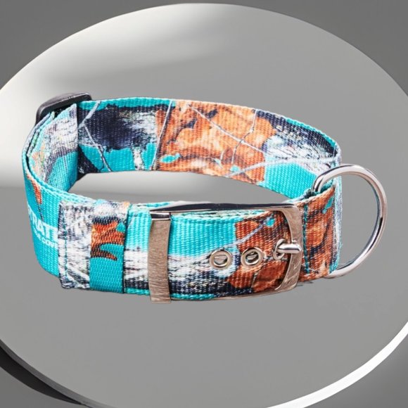 NWT Dog CAMO FASHION Teal Dog Collar and 5Ft Chain Med to Large - Picture 3 of 4